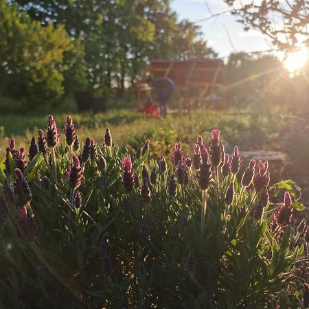Agroturystyka Sielanka Nad Stawem Turawa Kültér fotó